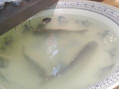 -南京金牛湖巨碗鱼头