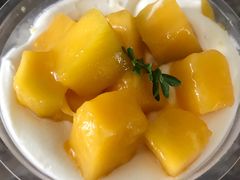 -可莎蜜兒(金堡店)