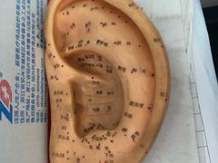 -北京中医药大学第三附属医院