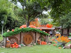 -HERRE·FARM 赫尔露营农场·团建聚会包场