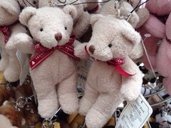 -济州岛泰迪熊博物馆