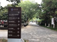 -南京十朝历史文化园-停车场