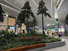 -青岛胶东国际机场