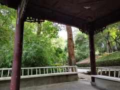 -北极阁公园