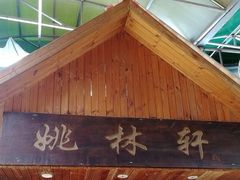 -姚林轩