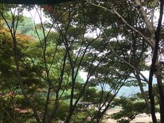 -天怡·鱼工厂(梅溪湖店)