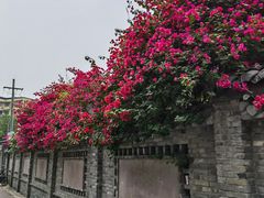 -左撇子私房面