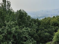 -宝石山