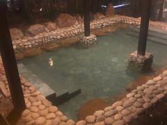 -崇阳三特浪口温泉