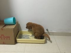 -宠颐生嘉德动物医院