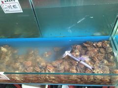 -海滨假日渔家海鲜