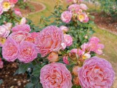 -人民公园(罗湖区)