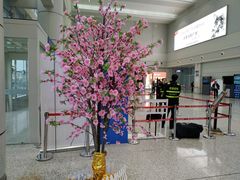 -宜春明月山机场