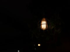 -花马天堂云南餐厅 Lost Heaven(外滩店)