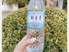 -钓鱼台国宾馆