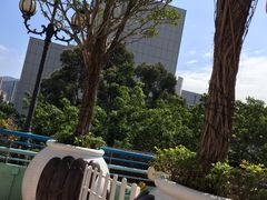 -史诺比开心世界