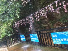 -将军关探险漂流