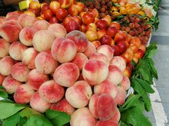 -港华水果街(港华广场店)