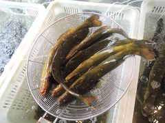 E:\相片\103NIKON\DSCN0816-胖姐渔村(中源大道店)