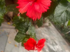 -龙达温泉生态城