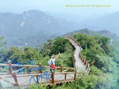 -大岭沟猕猴桃谷风景区