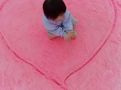 -大塘金香草谷