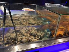 -V-ONE西雅图海鲜自助餐厅(仓山万达广场店)