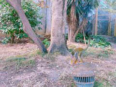 -灵玲国际马戏城