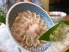 -东菊料理(吉利购物广场店)