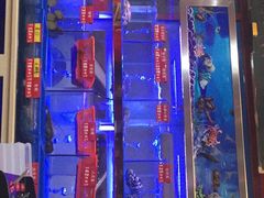 -小龍鳳·港式海鲜打边炉(沙湖路店)