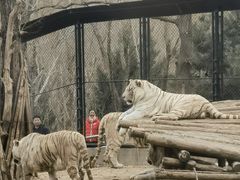 -北京野生动物园