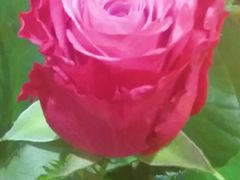 -AEON永旺(东方宝泰店)