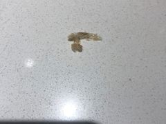 -粤点越有·茶点·粤菜(樵岭国际店)