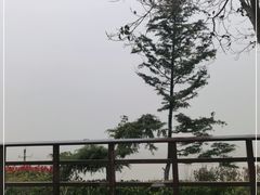 -古柏渡飞黄旅游区