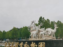 -秦皇岛野生动物园