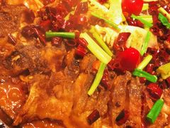 -老板恋上鱼(高新万达店)