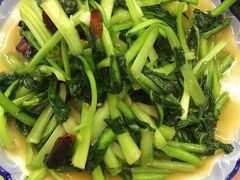 -泸沽肴(泸沽湖大洛水村农村信用社旁店)