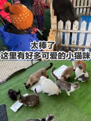 -萌宠亲子动物乐园(槐房万达店)