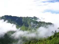 -秦岭风景区