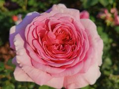 -人民公园(罗湖区)