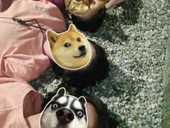 -蓝鲸湾汤泉(包河店)