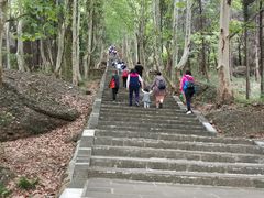 -窦圌山风景区
