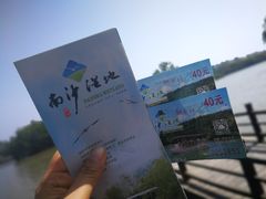 -大湾区中央湿地公园