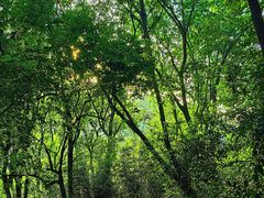 -西湖风景区-江洋畈生态公园