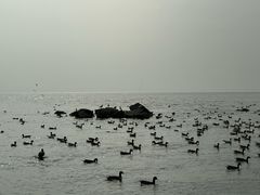 -深圳湾公园(南山区)