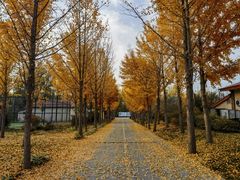 -意大利农场度假村