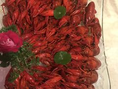 -上海外滩雅致酒店