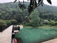 -九龙潭景区
