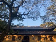 -普陀山风景名胜区-法雨禅寺