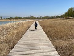 -野鸭湖国家湿地公园